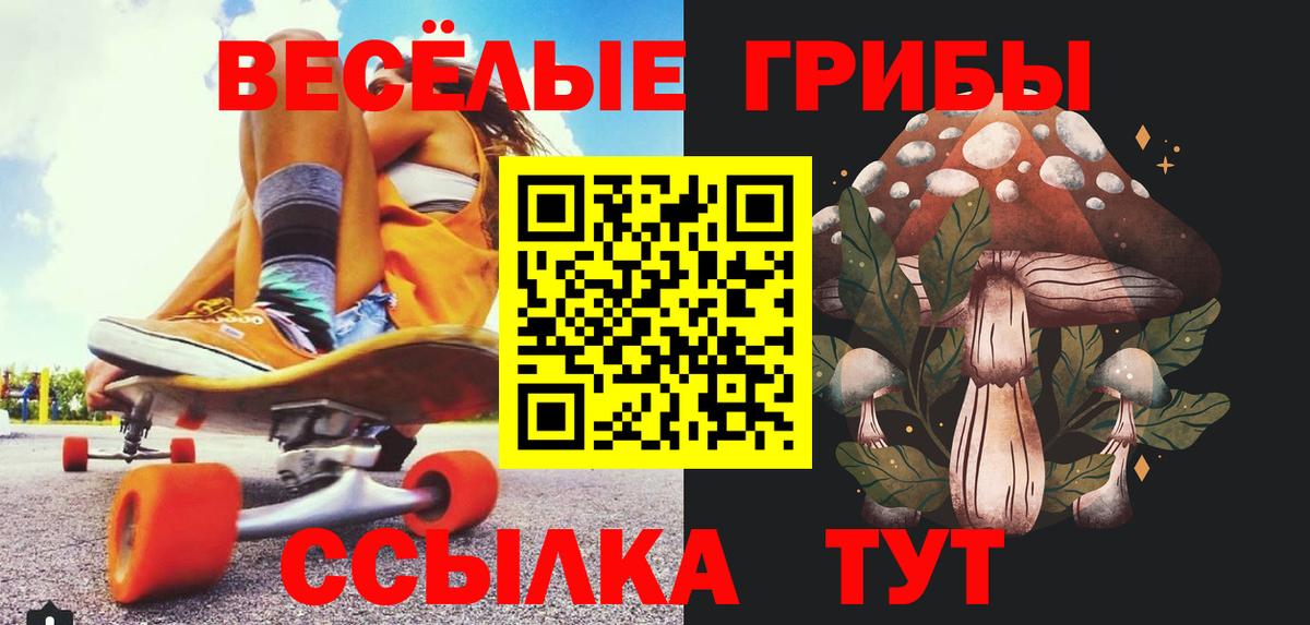 Псилоцибиновые грибы мицелий Димитровград