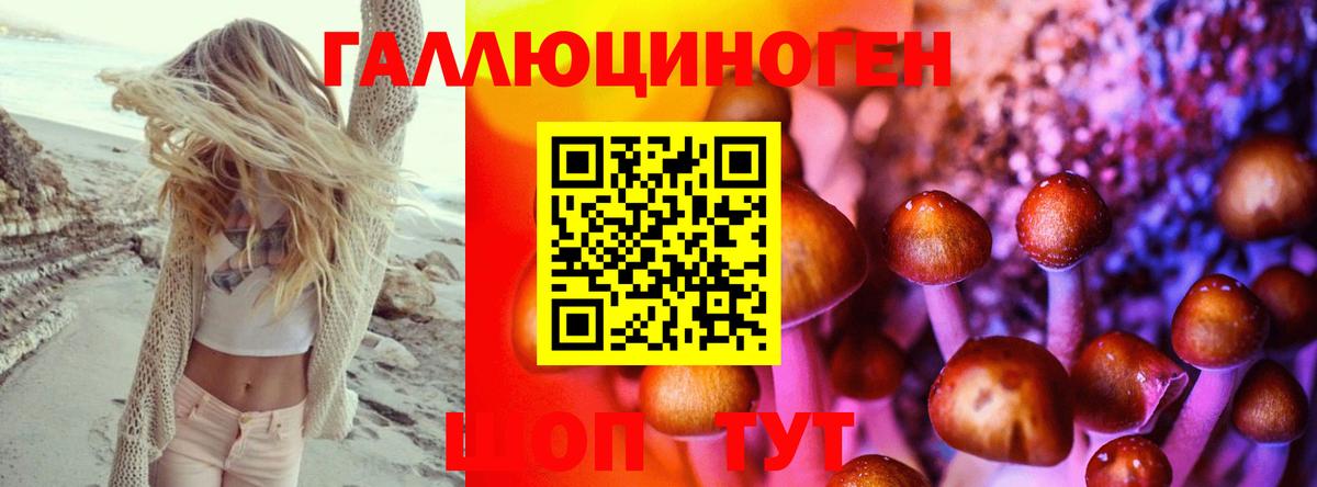 Псилоцибиновые грибы Psilocybine cubensis  где найти   Димитровград  Вход с VPN  Галлюциногенные грибы GOLDEN TEACHER 
